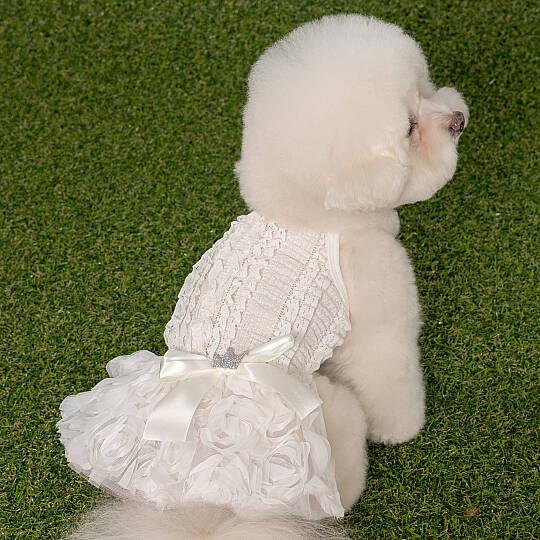 OTELIA / IVORY - 4