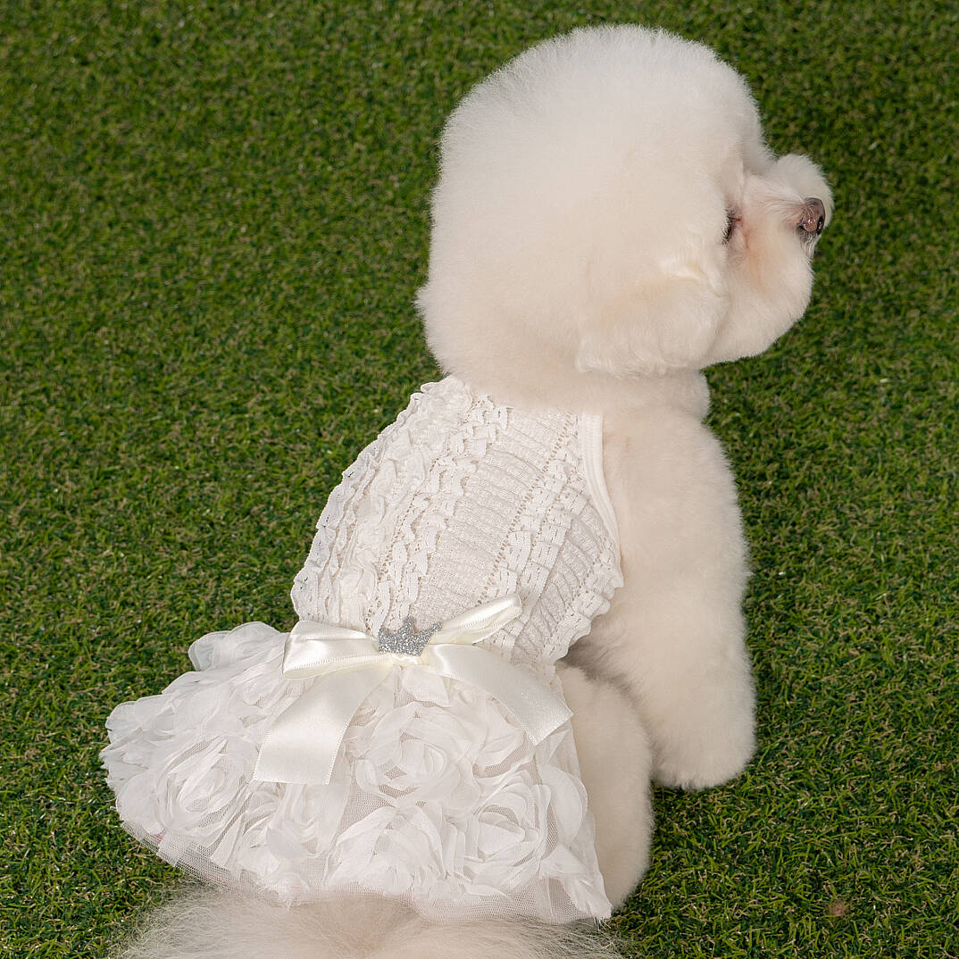 OTELIA / IVORY - 4