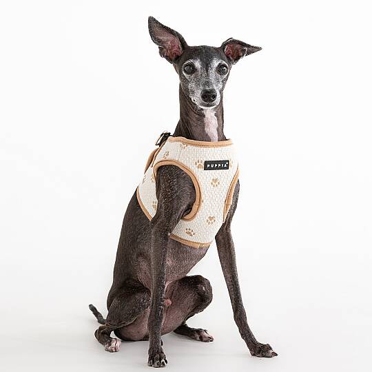 PAWPRINT HARNESS B / BEIGE - 5