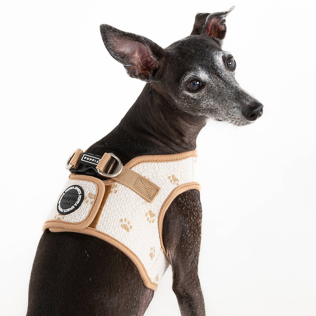 PAWPRINT HARNESS B / BEIGE - 6