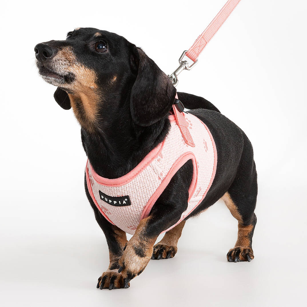 PAWPRINT HARNESS B / INDIAN PINK - 6