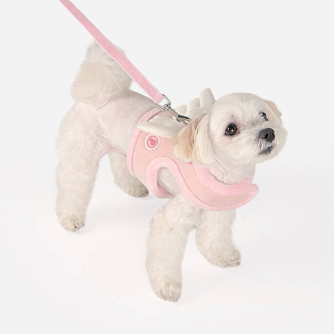PELIAH PINKA HARNESS/PINK - 4