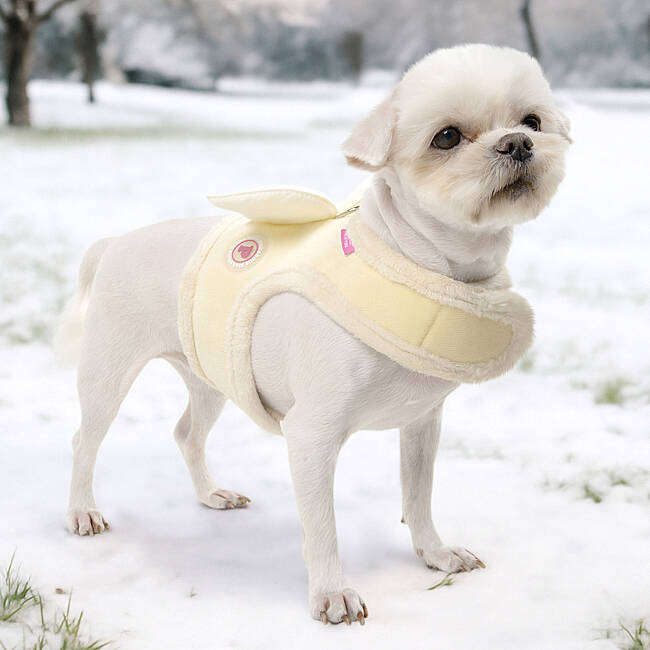PELIAH PINKA HARNESS/YELLOW - 4