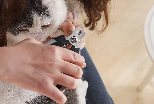 PET LUXE 2'Lİ TIRNAK MAKASI SETİ - 3