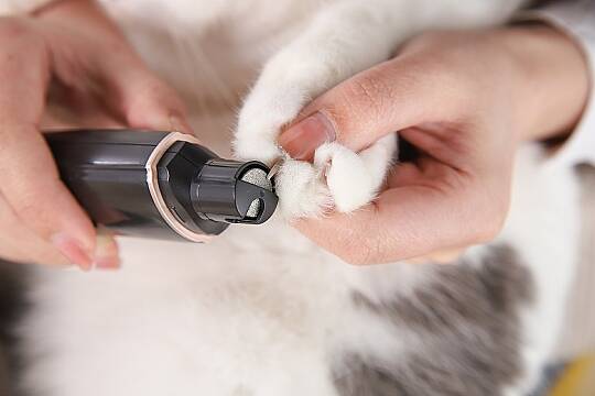 PET LUXE 2'Lİ TIRNAK MAKASI SETİ - 2