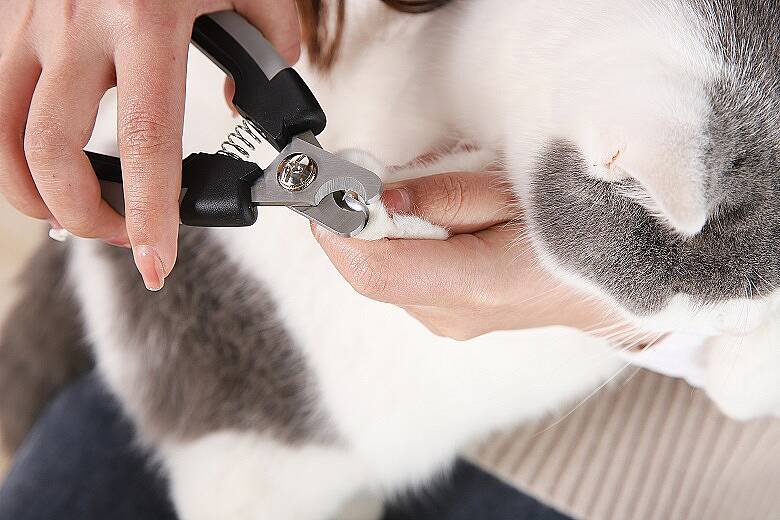 PET LUXE 2'Lİ TIRNAK MAKASI SETİ - 1