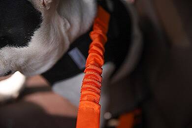 PET LUXE 3'LÜ SEYAHAT KİTİ - 6