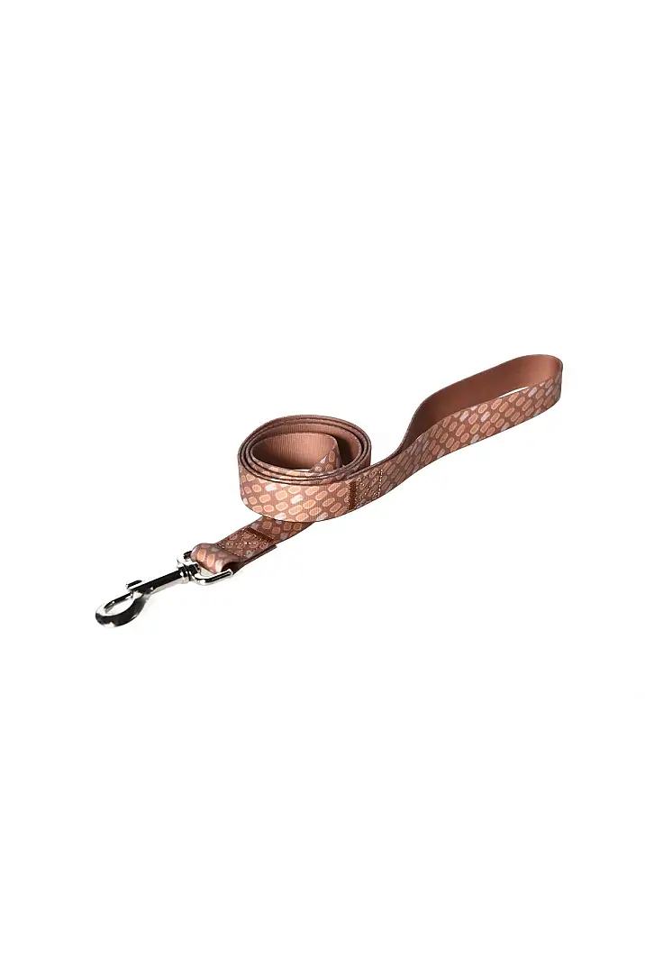 PVC Kahverengi Köpek Tasma Kayışı - 1