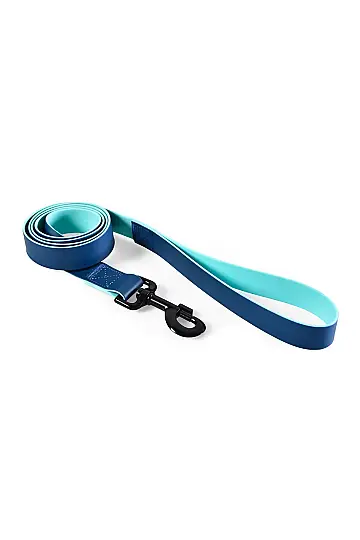 PVC Mavi Köpek Tasma Kayışı