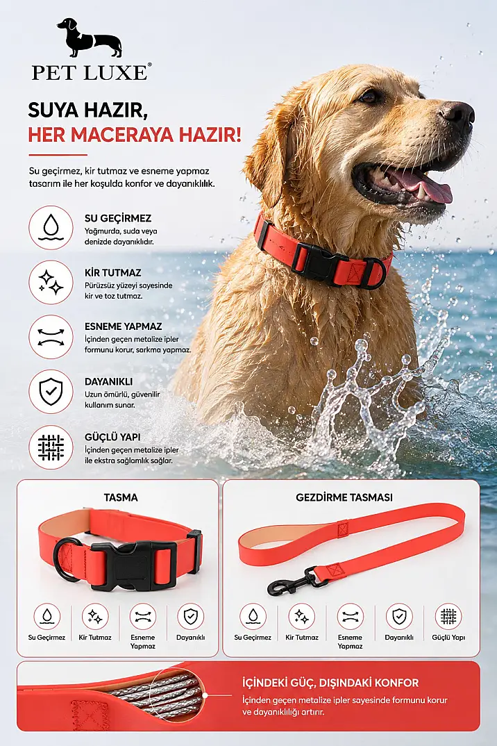 Turuncu Yumuşak Kaplamalı Ayarlanabilir Köpek Boyun Tasma Seti Esneme Yapmaz, Kir ve Koku Tutmaz - 2