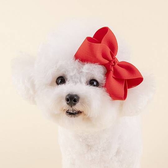 Princess Ribon/RED