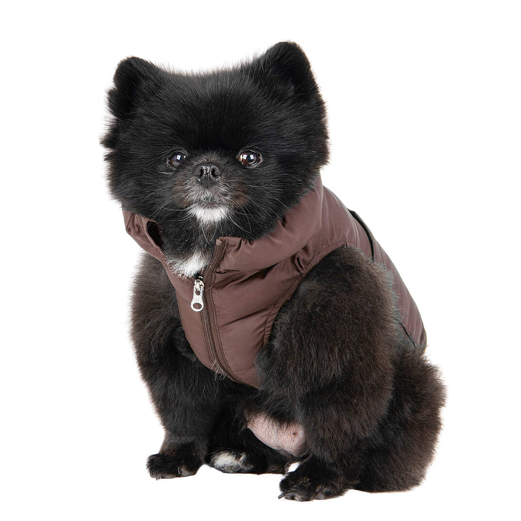 PUFFER VEST JUMPER / BROWN - 8