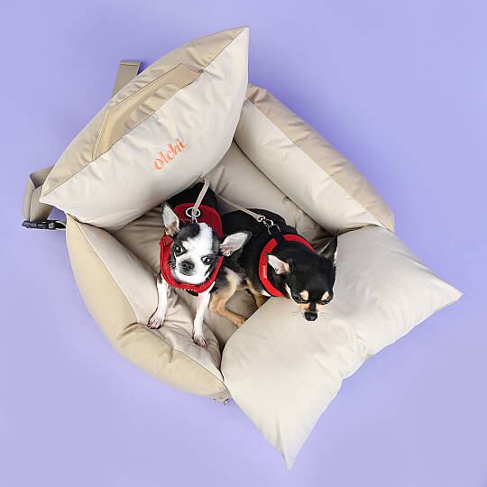 PUPPIA CAR SEAT PAUA-AU5981-BE - 7