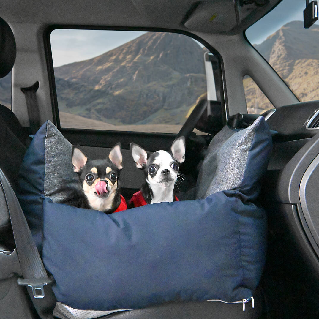 PUPPIA CAR SEAT PAUA-AU5981-NY - 7