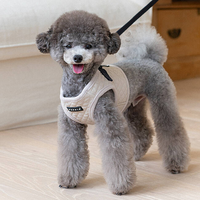 PUPPIA IRVIN HARNESS CREAM PAYD-HB2138-CM - 4