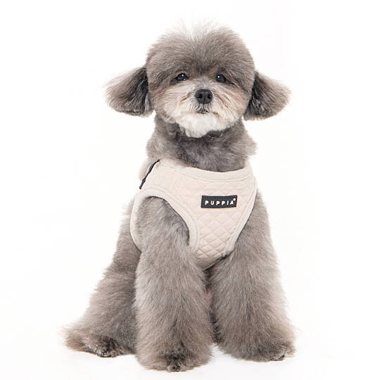 PUPPIA IRVIN HARNESS CREAM PAYD-HB2138-CM - 5