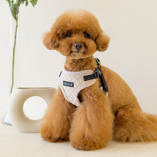 PUPPIA IRVIN HARNESS CREAM PAYD-HC2138-CM - 4