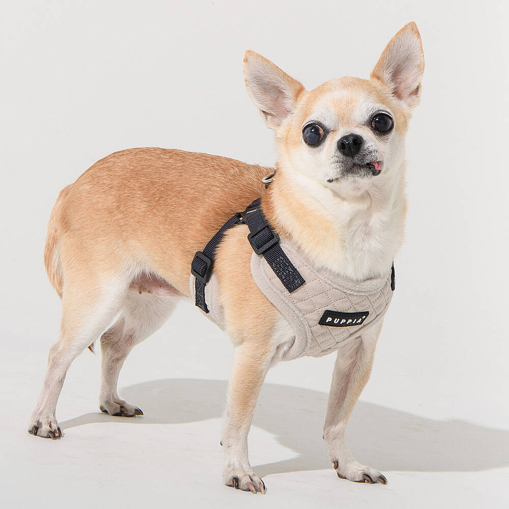 PUPPIA IRVIN HARNESS CREAM PAYD-HC2138-CM - 5