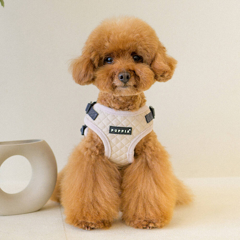 PUPPIA IRVIN HARNESS CREAM PAYD-HC2138-CM - 6