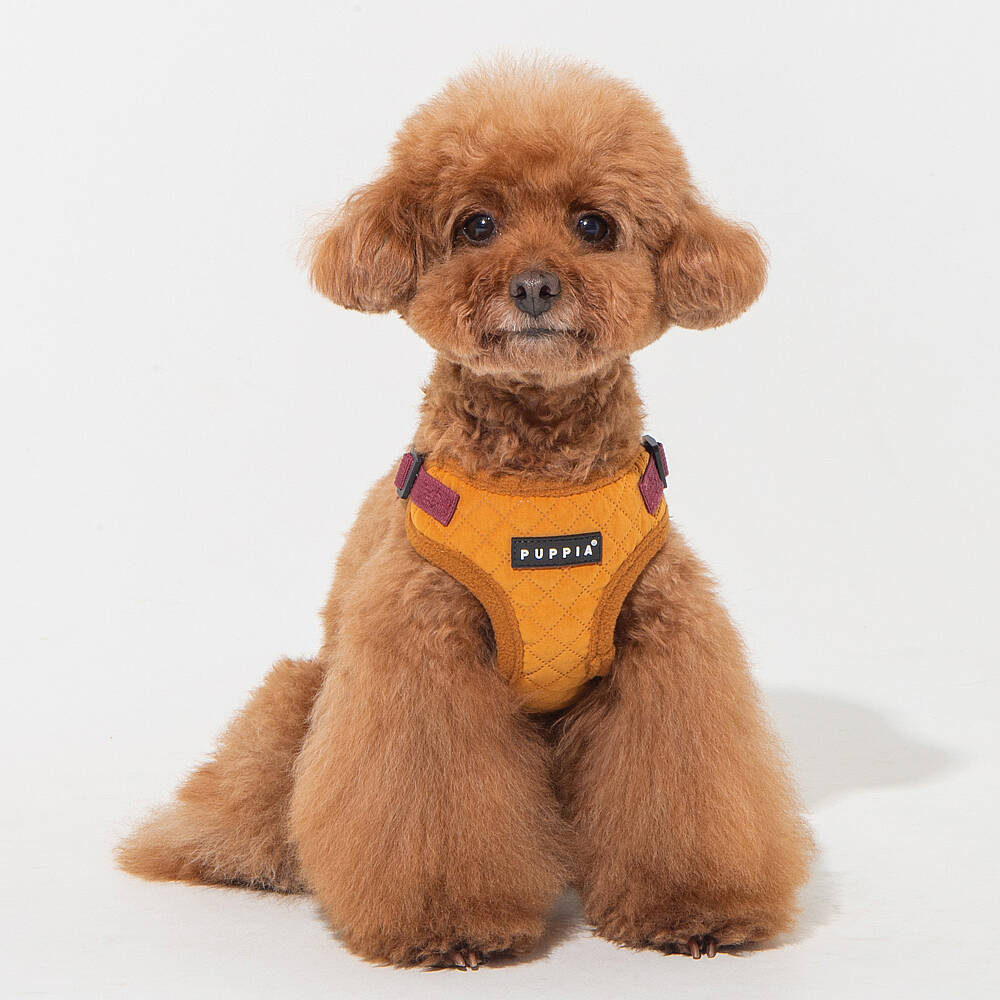 PUPPIA IRVIN HARNESS MUSTARD PAYD-HC2138-MS - 6
