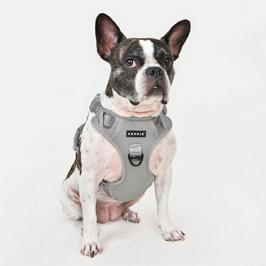 PUPPIA JAREK HARNESS GREY PAXD-HH2063-GY - 4