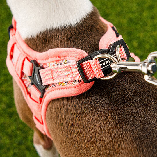 PUPPIA KEALOHA HARNESS PINK PAZA-HX2183-PK - 7