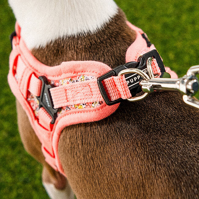 PUPPIA KEALOHA HARNESS PINK PAZA-HX2183-PK - 7