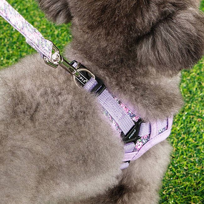 PUPPIA KEALOHA HARNESS VIOLET PAZA-HX2183-VI - 5