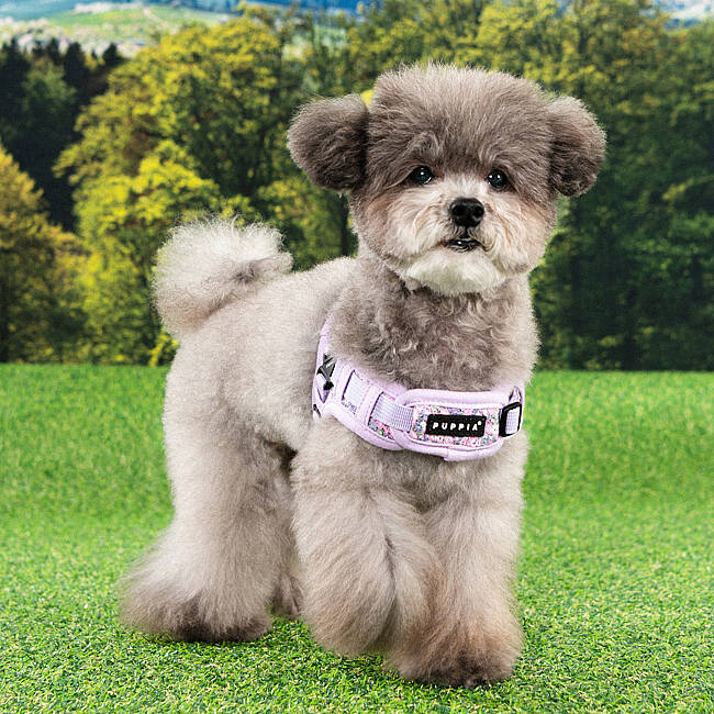 PUPPIA KEALOHA HARNESS VIOLET PAZA-HX2183-VI - 6