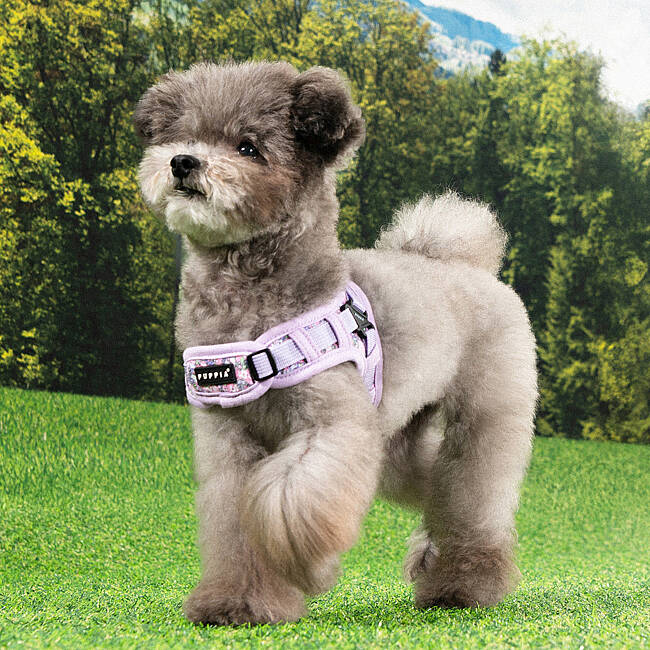 PUPPIA KEALOHA HARNESS VIOLET PAZA-HX2183-VI - 7