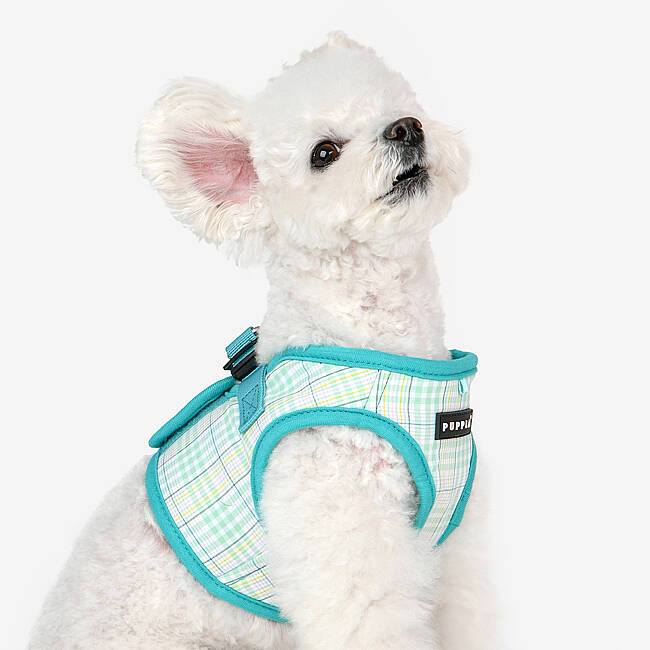 PUPPIA LUKE HARNESS AQUA PAWA-HB1965-AQ - 8