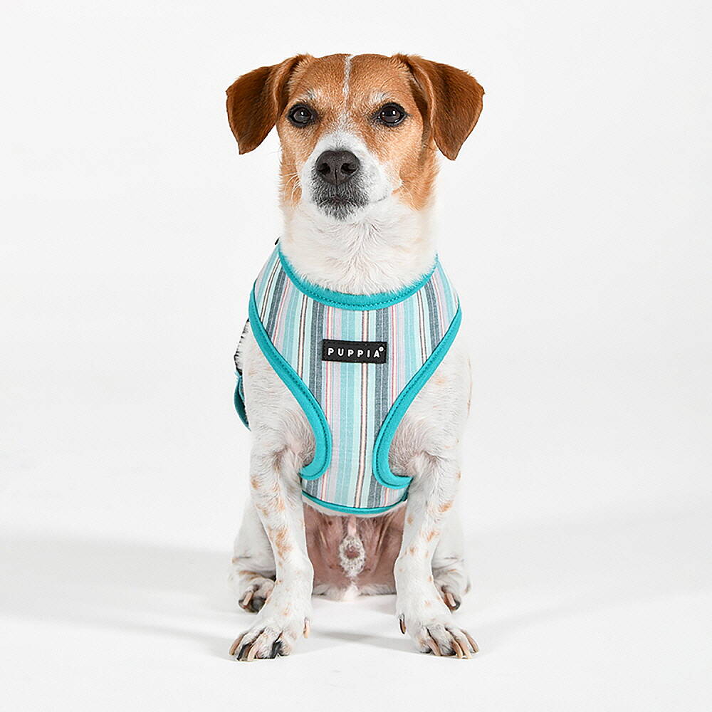 PUPPIA THEROS HARNESS AQUA PAYA-HA2095-AQ - 3