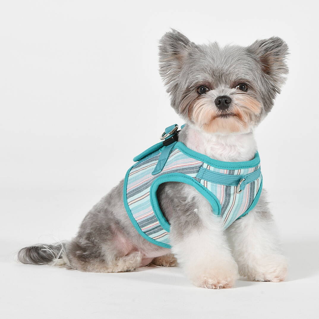 PUPPIA THEROS HARNESS AQUA PAYA-HB2095-AQ - 4