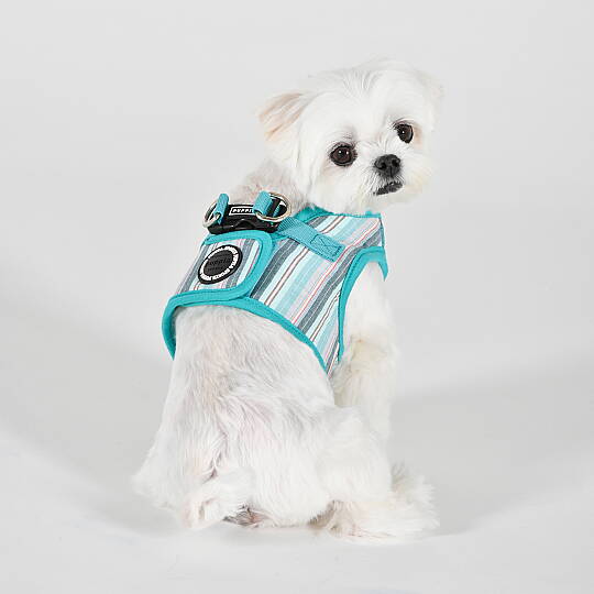PUPPIA THEROS HARNESS AQUA PAYA-HB2095-AQ - 6
