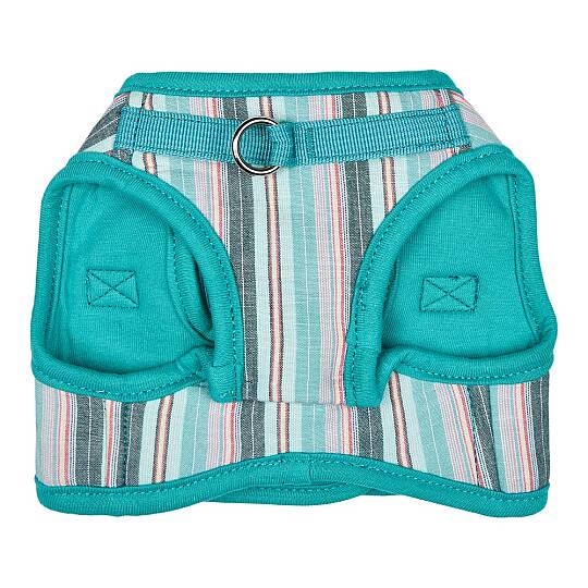 PUPPIA THEROS HARNESS AQUA PAYA-HB2095-AQ - 2