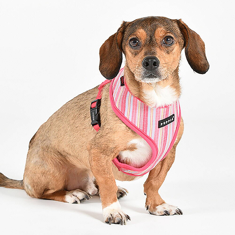 PUPPIA THEROS HARNESS PINK PAYA-HA2095-PK - 3
