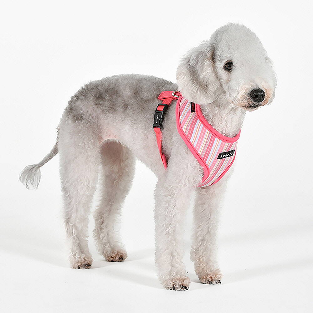 PUPPIA THEROS HARNESS PINK PAYA-HA2095-PK - 5