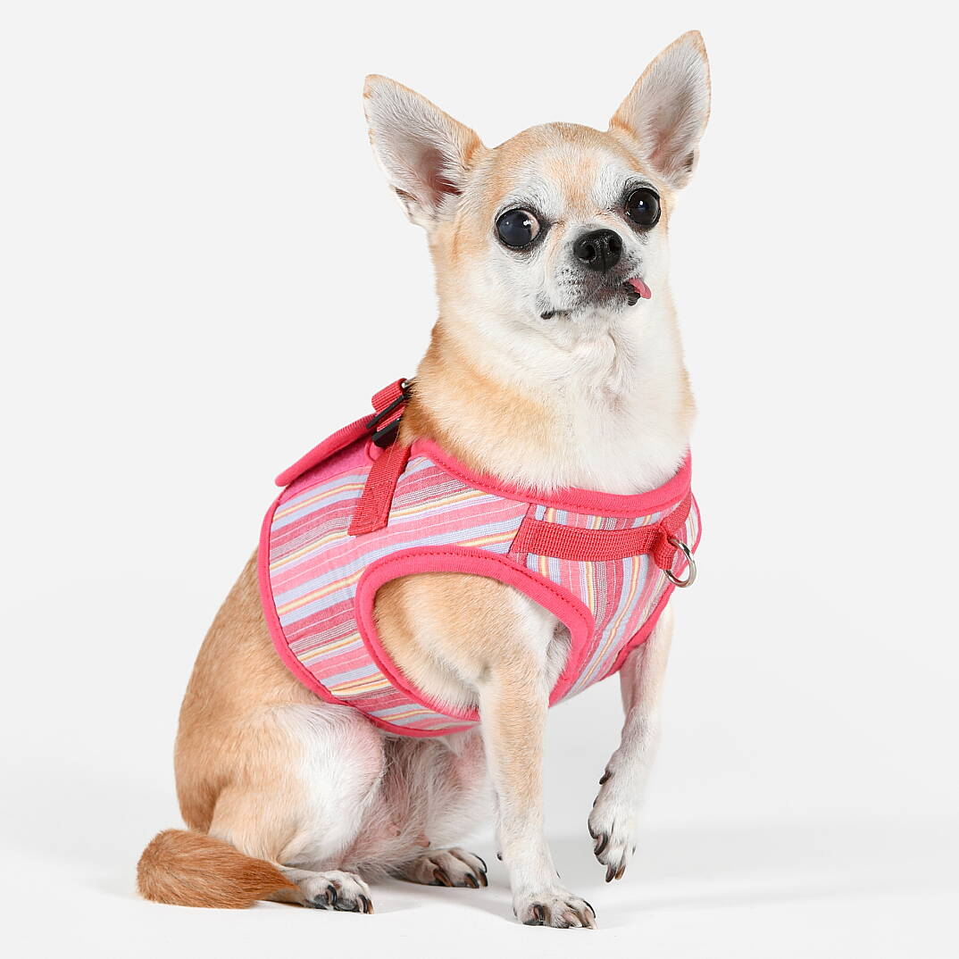 PUPPIA THEROS HARNESS PINK PAYA-HB2095-PK - 4