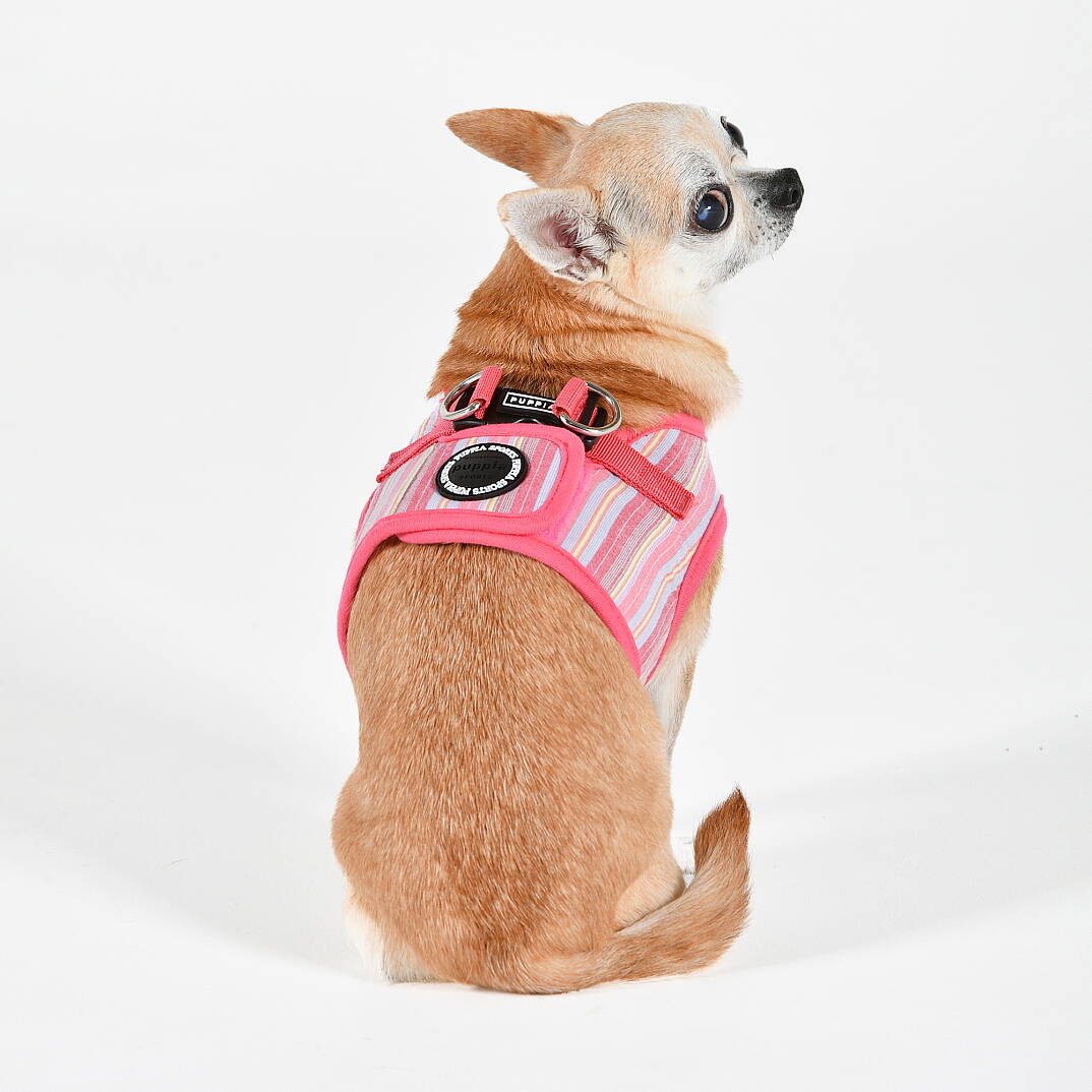 PUPPIA THEROS HARNESS PINK PAYA-HB2095-PK - 6