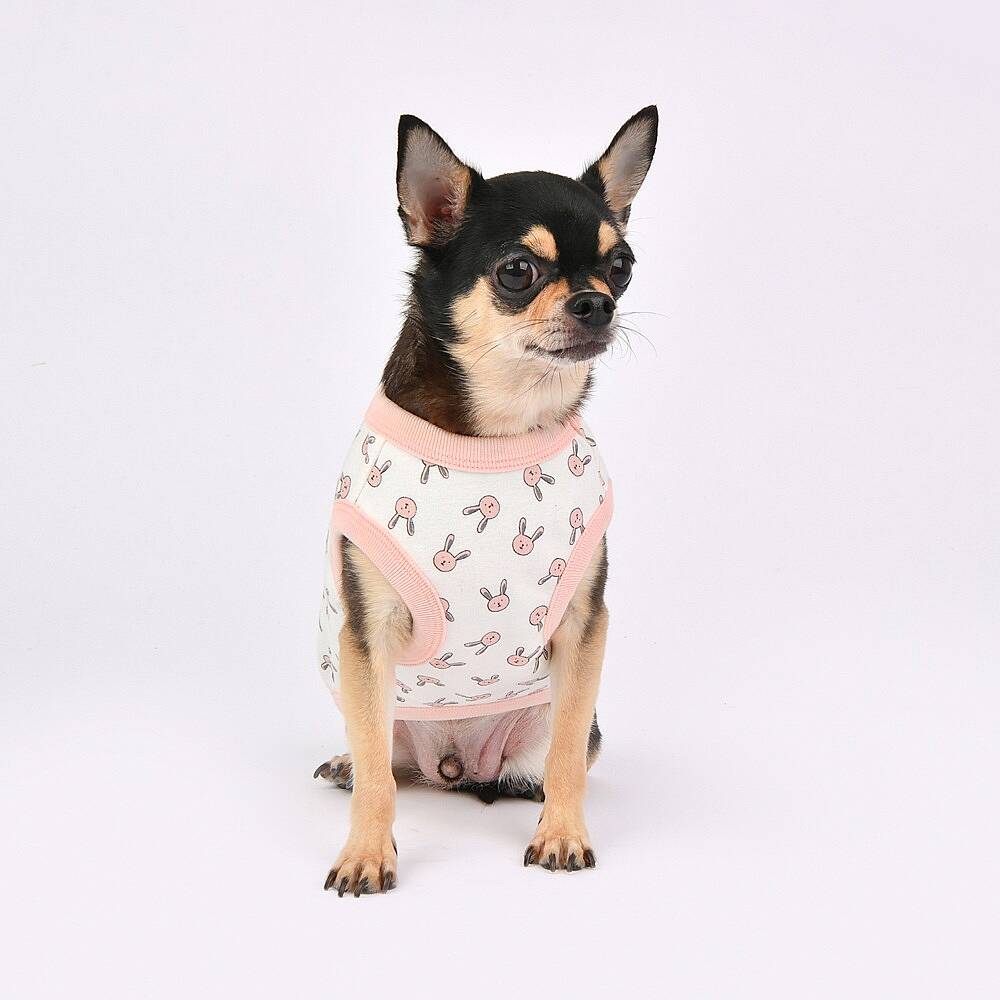 RABBIT PATTERN / PINK - 3