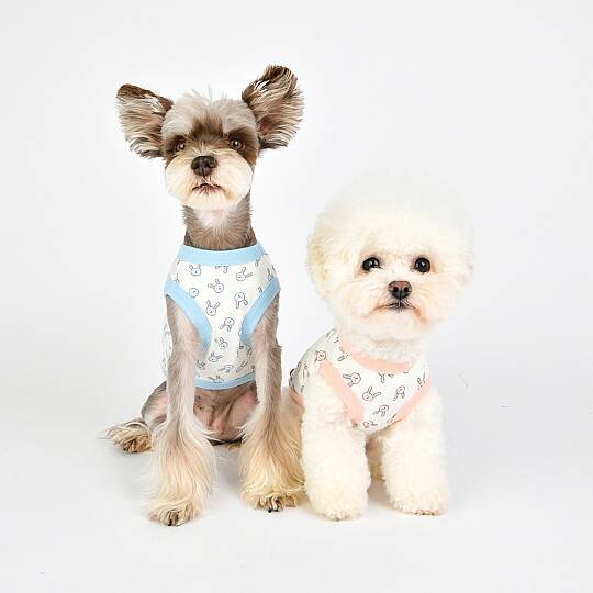 RABBIT PATTERN / SKY BLUE - 6