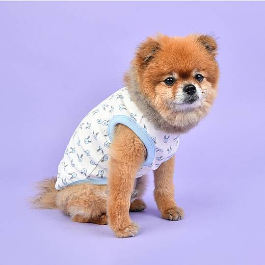 RABBIT PATTERN / SKY BLUE - 3