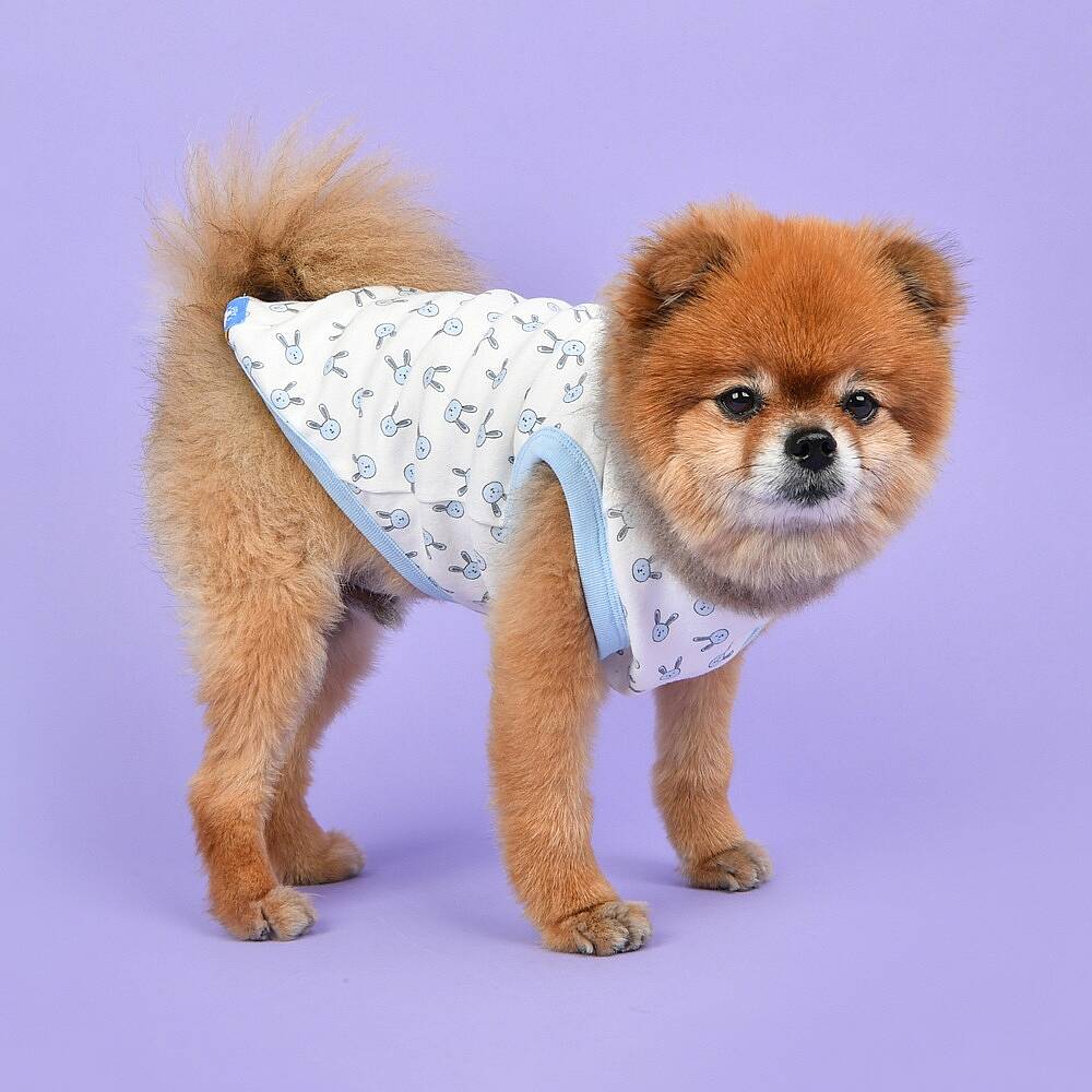RABBIT PATTERN / SKY BLUE - 4