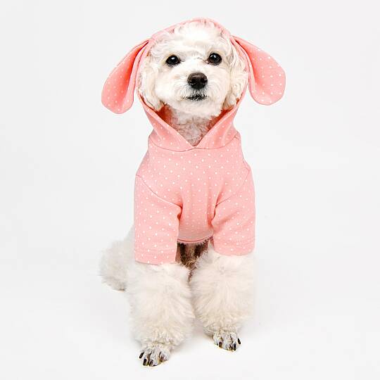 RABBIT / PINK - 5