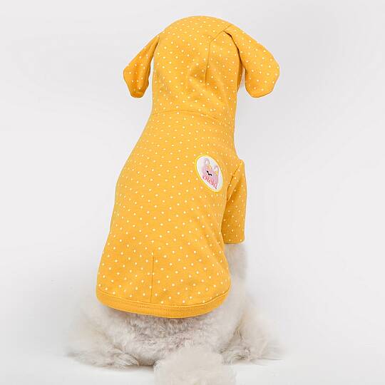 RABBIT / YELLOW - 4