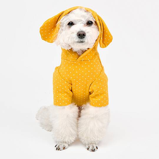 RABBIT / YELLOW - 5
