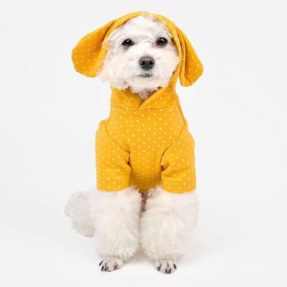 RABBIT / YELLOW - 5