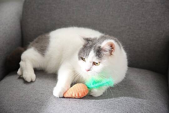 Havuç ve Tavşan Figürlü Peluş Kedi Oyuncak Seti