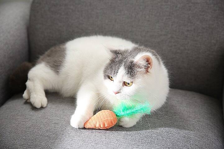 Havuç ve Tavşan Figürlü Peluş Kedi Oyuncak Seti - 1