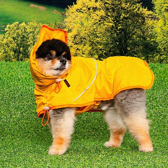 RAINLITE PONCHO / YELLOW - 6